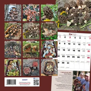 Vícepanelový nástěnný kalendář Avanti 300 mm x 300 mm (5901769621138)