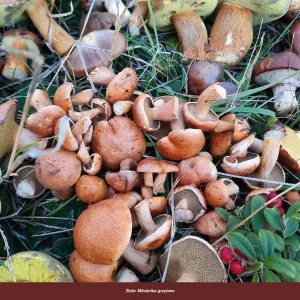 Vícepanelový nástěnný kalendář Avanti 300 mm x 300 mm (5901769621138)