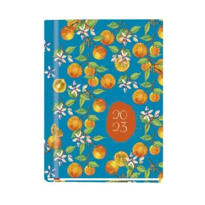 Michalczyk i Prokop Ola A6 148mm x 210mm (T-212V-C,N,P,S,Z) Knižní kalendář (rozvrh)