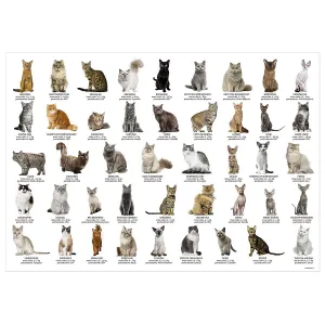 Derform cats - vícebarevná podložka na stůl 345 mm x 500 mm (POEKT)