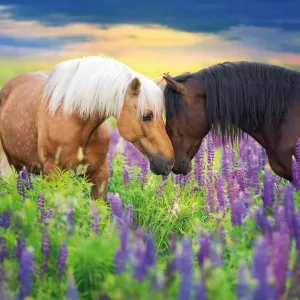 Vícepanelový nástěnný kalendář Avanti 300 mm x 600 mm (KAD-11)