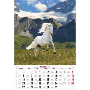 Vícepanelový pruhovaný nástěnný kalendář Avanti 285 mm x 420 mm (5901769620483)