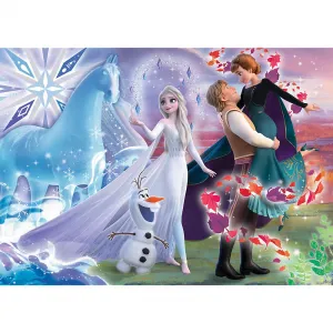 Trefl puzzle Frozen 2 Kouzelný svět sester 200 el. (13265)