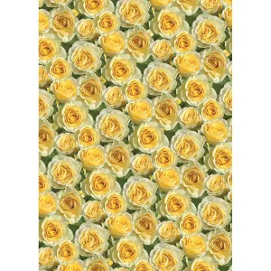 Dekorační papír Pol-mak - mix 700 mm x 1000 mm