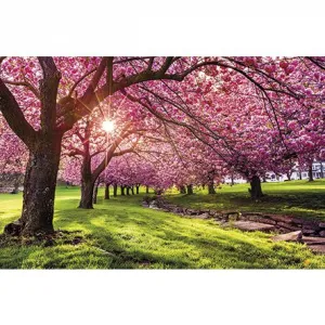 Michalczyk i Prokop nástěnný kalendář 310mm x 482mm (T-107S-4)