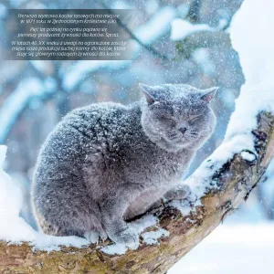 Vícepanelový nástěnný kalendář Avanti 300 mm x 300 mm (KAD-9)