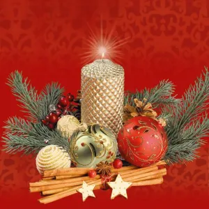 Ubrousky Pol-mak s hvězdičkou - mix 330 mm x 330 mm (Sd GW)