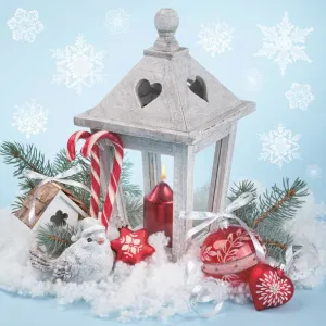 Ubrousky Pol-mak s hvězdičkou - mix 330 mm x 330 mm (Sd GW)