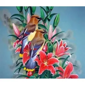 Norimpex kreativní sada malování podle čísel - ptáci na větvičce (NO-1005644)