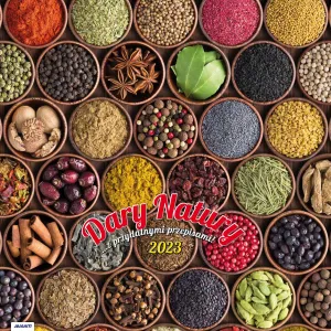 Vícepanelový nástěnný kalendář Avanti 300 mm x 600 mm (5901769620988)