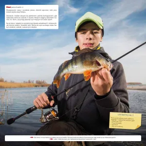 Vícepanelový nástěnný kalendář Avanti 300 mm x 600 mm (5901769620971)