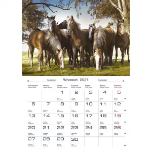 Michalczyk i Prokop nástěnný kalendář 200 mm x 280 mm (TW-10-6)