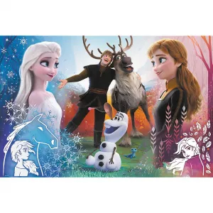 Trefl puzzle Frozen 2 300 el. (23006)