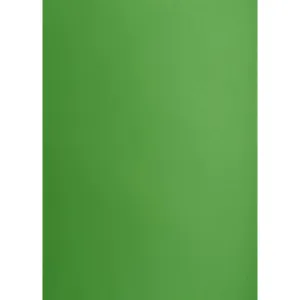 Brystol Creatinio B1 Green 225g 1k (400150268)