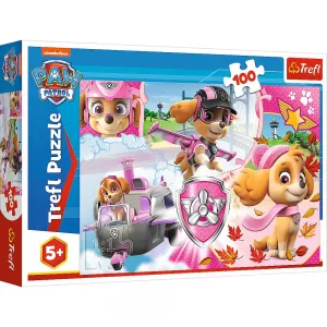 Puzzle Trefl Tlapková patrola 100 el. (16368)