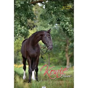 Vícepanelový pruhovaný nástěnný kalendář Avanti 285 mm x 420 mm (5901769620483)