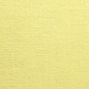 Dekorační papír (vizitka) Protos A4 - krémový 190g