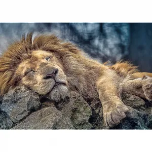 Puzzle Trefl Spící lev 1000 el. (10447)