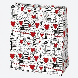 Dárková taška Pol-mak 190 mm x 230 mm x 105 mm (T4)