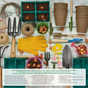 Vícepanelový nástěnný kalendář Avanti 300 mm x 600 mm (5901769620407)