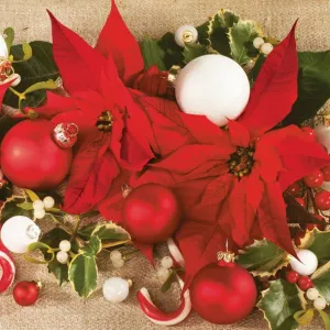 Vánoční ubrousky Pol-mak - mix 330 mm x 330 mm (SL GW)