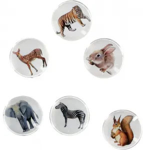 Kulatý magnet Fun&Joy ANIMALS - mix ø 30 mm