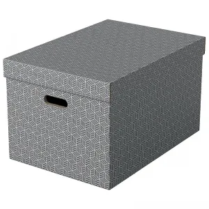 Archivní box Esselte Home velikost L - šedý 355 mm x 510 mm x 305 mm (628287)