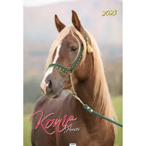 Vícepanelový pruhovaný nástěnný kalendář Avanti 285 mm x 420 mm (5901769620483)