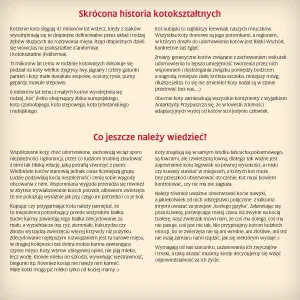 Vícepanelový nástěnný kalendář Avanti 300 mm x 300 mm (KAD-9)