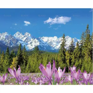 Lucrum nástěnný kalendář PEJZAŻE POLSKIE 13-planszowe 320mm x 470mm (RW01)