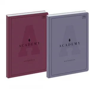 Brulion Interdruk ACADEMY A4 96k. Kontrola 90g (5902277299284)
