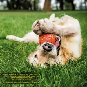 Vícepanelový nástěnný kalendář Avanti 300 mm x 600 mm (KAD-10)