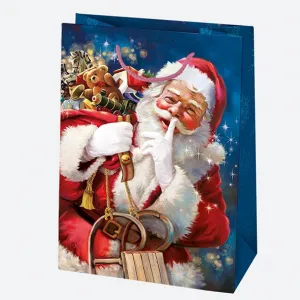 Dárková taška Pol-mak 340 mm x 480 mm x 130 mm