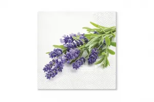 Ubrousky Paw Lavender Bunch - mix 330 mm x 330 mm (TL702200)