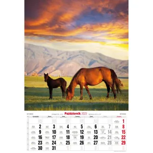 Vícepanelový pruhovaný nástěnný kalendář Avanti 285 mm x 420 mm (5901769620483)