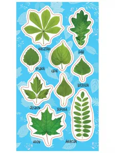 Nálepka (samolepka) Ranok Creative jarní listy