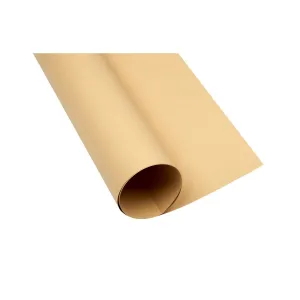 TOP-2000 A1 světle hnědá 160g 25k 610mm x 860mm bristol (400149527)