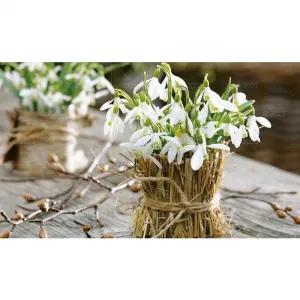 Nástěnný kalendář 5904844530592 Lucrum poznámkový blok 2023 Květinové kompozice 220mm x 490mm (WN2)