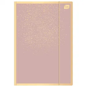 Kartonový pořadač s gumičkou Interdruk SATIN GOLD 1 A4+ barva: zlatá 400g