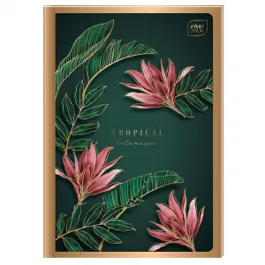 Interdruk Brulion B5 96k. 70g kontrola (BRB596P)