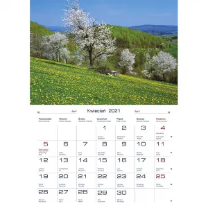 Michalczyk i Prokop nástěnný kalendář 200 mm x 285 mm (TW-10-4)