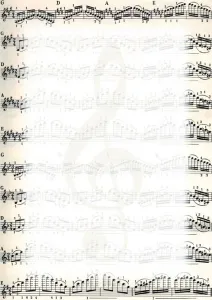 Diplomová galerie Papírové poznámky A4 170g (213317)