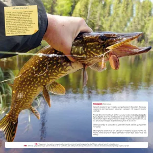 Vícepanelový nástěnný kalendář Avanti 300 mm x 600 mm (5901769620971)