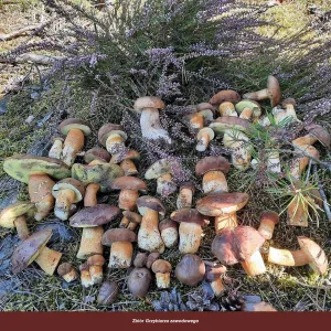 Vícepanelový nástěnný kalendář Avanti 300 mm x 300 mm (5901769621138)