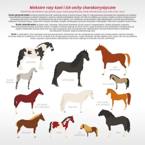 Vícepanelový nástěnný kalendář Avanti 300 mm x 600 mm (KAD-11)