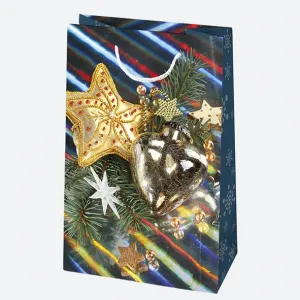 Dárková taška Pol-mak 160 mm x 240 mm x 70 mm (T3)