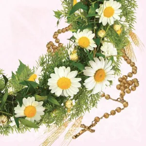 Ubrousky na přijímání Pol-mak - mix 330 mm x 330 mm (SL ko)