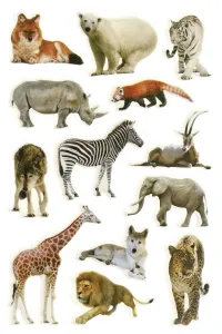 Nálepka (samolepka) Titanum Craft-Fun Series Animals (PPB03)