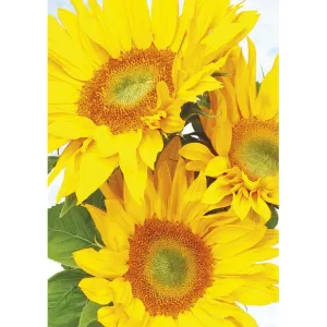 Visačky na dárky, dárky, květiny Pol-Mak 55 x 77 mm mix vzorů