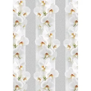 Dekorační papír Pol-mak - mix 700 mm x 1000 mm